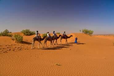 marrakech to zagora