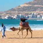 Grand Morocco Guided Tours