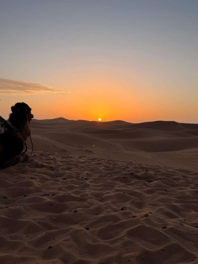 Erg chigaga tour itinerary 4 day