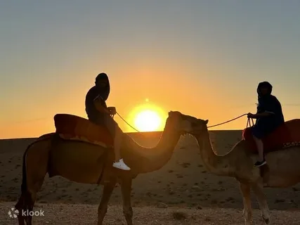 Camel Ride Adventure in Agafay desert