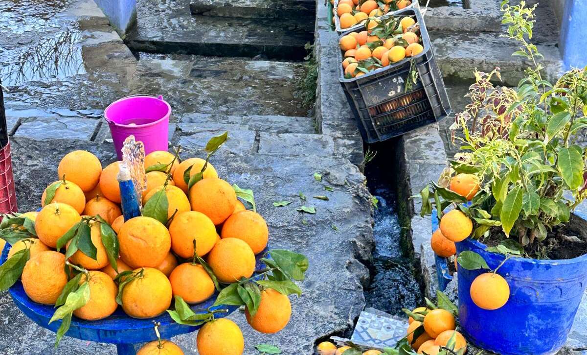 A private 12-day Morocco tour showcasing the country's rich history, culture, and diverse landscapes. Highlights include Marrakech's iconic landmarks, a Sahara camel trek, the ancient city of Fes, the coastal beauty of Essaouira, and the vibrant blue city of Chefchaouen, with luxury accommodations and expert guides throughout the journey.