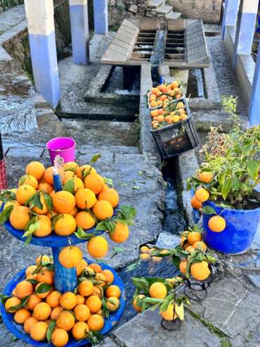 A private 12-day Morocco tour showcasing the country's rich history, culture, and diverse landscapes. Highlights include Marrakech's iconic landmarks, a Sahara camel trek, the ancient city of Fes, the coastal beauty of Essaouira, and the vibrant blue city of Chefchaouen, with luxury accommodations and expert guides throughout the journey.