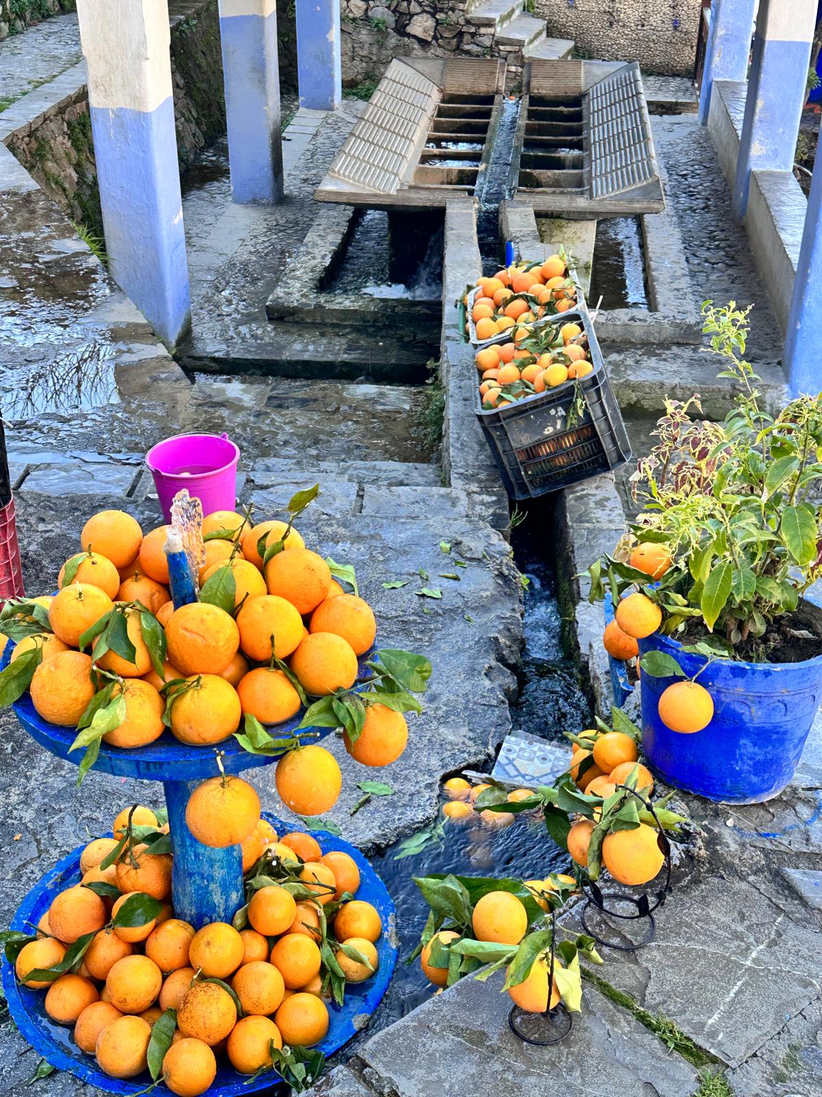 A private 12-day Morocco tour showcasing the country's rich history, culture, and diverse landscapes. Highlights include Marrakech's iconic landmarks, a Sahara camel trek, the ancient city of Fes, the coastal beauty of Essaouira, and the vibrant blue city of Chefchaouen, with luxury accommodations and expert guides throughout the journey.