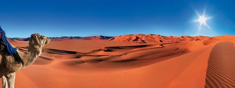 10 Days Morocco Tour From Casablnca/Hassan II Mosque in Casablanca with ocean views"), before heading to Marrakech’s bustling Jemaa el-Fnaa square/Colorful market stalls in Marrakech's lively square"). Traverse the Atlas Mountains/Scenic mountain road through the High Atlas") and arrive in Merzouga for a magical Casablanca desert tour 10 days experience—ride camels over golden dunes/Camel caravan at sunset in the Erg Chebbi dunes") and spend the night under starry skies in a luxury desert camp/Traditional Berber tent camp in the Sahara Desert"). Explore ancient medinas in Fes /Historic architecture in Fes Medina") and unwind in Chefchaouen’s blue-painted streets /Blue-washed alleyways in Chefchaouen"). This Morocco tours adventure offers the perfect mix of culture, adventure, and breathtaking landscapes.