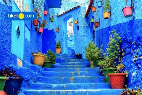 4 days morocco tour itinerary from casablanca..Casablanca to Chefchaouen and Fes: Hassan II Mosque in Casablanca – "Hassan II Mosque in Casablanca, Morocco – stunning seaside mosque with intricate architecture" Blue Streets of Chefchaouen – "Chefchaouen, the Blue City of Morocco – picturesque blue-painted streets and mountain views" Fes Medina & Tanneries – "Traditional leather tanneries in Fes Medina, Morocco – vibrant colors and historic craftsmanship" Scenic Drive from Casablanca to Chefchaouen – "Moroccan countryside views on the road from Casablanca to Chefchaouen" Fes Al Quaraouiyine University – "Al Quaraouiyine University in Fes – the world's oldest university and a UNESCO heritage site" Chefchaouen Rooftop View – "Panoramic view of Chefchaouen’s blue buildings and Rif Mountains" Moroccan Tagine Meal – *"Traditional Moroccan tagine dish served during a 4-day tour from Casablanca"* Historic Bab Bou Jeloud Gate in Fes – "Bab Bou Jeloud, the iconic blue gate entrance to Fes Medina, Morocco"