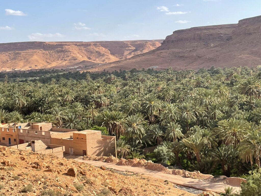 8 Days Desert Tours From Casablanca,An 8-day Morocco desert tour from Casablanca, featuring camel trekking in the Sahara, overnight stays in a desert camp, visits to Fes and Marrakech, Roman ruins at Volubilis, and scenic views of the Atlas Mountains, Todra Gorge, and Dades ValleyA scenic desert tour in Morocco featuring a camel caravan trekking across golden sand dunes at sunset, with a backdrop of the Atlas Mountains. The tour includes visits to Marrakech, Fes, and Merzouga, showcasing vibrant markets, historic kasbahs, and traditional Berber camps under starry skies