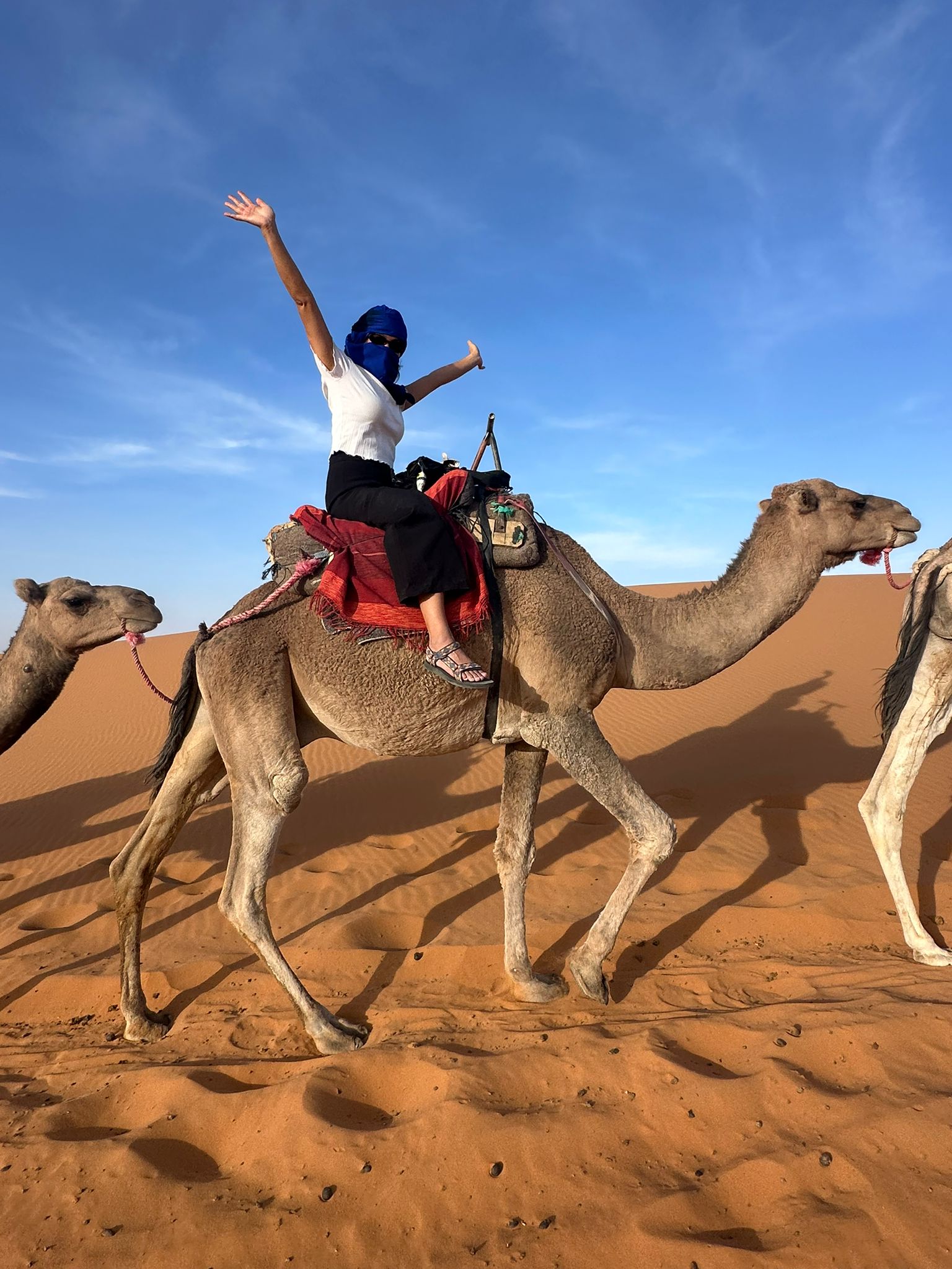Group riding camels at sunset on a Merzouga desert tour