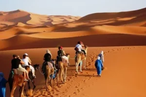 3 Day Marrakech Desert Tour 2026/golden dunes, ancient kasbahs, and starry desert skies