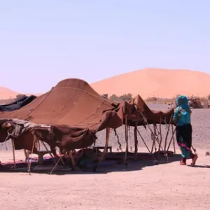 Marrakech Itinerary 2026/Jemaa el-Fna, best riads, food tours, Atlas Mountains trips & hidden gems.