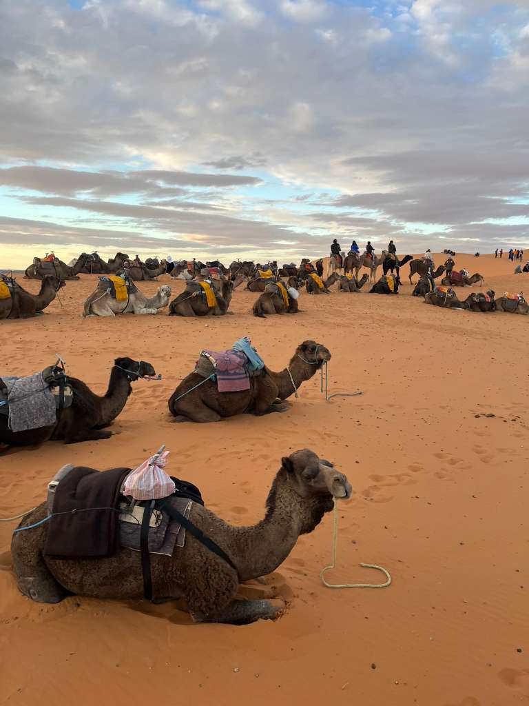 Morocco tour from Italy/Sahara desert camel trek from Italy to Morocco 2026 tour